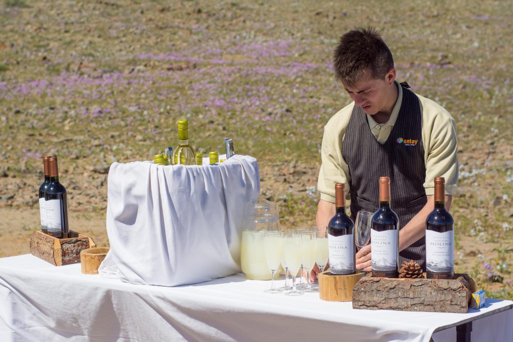 desierto florido 4
